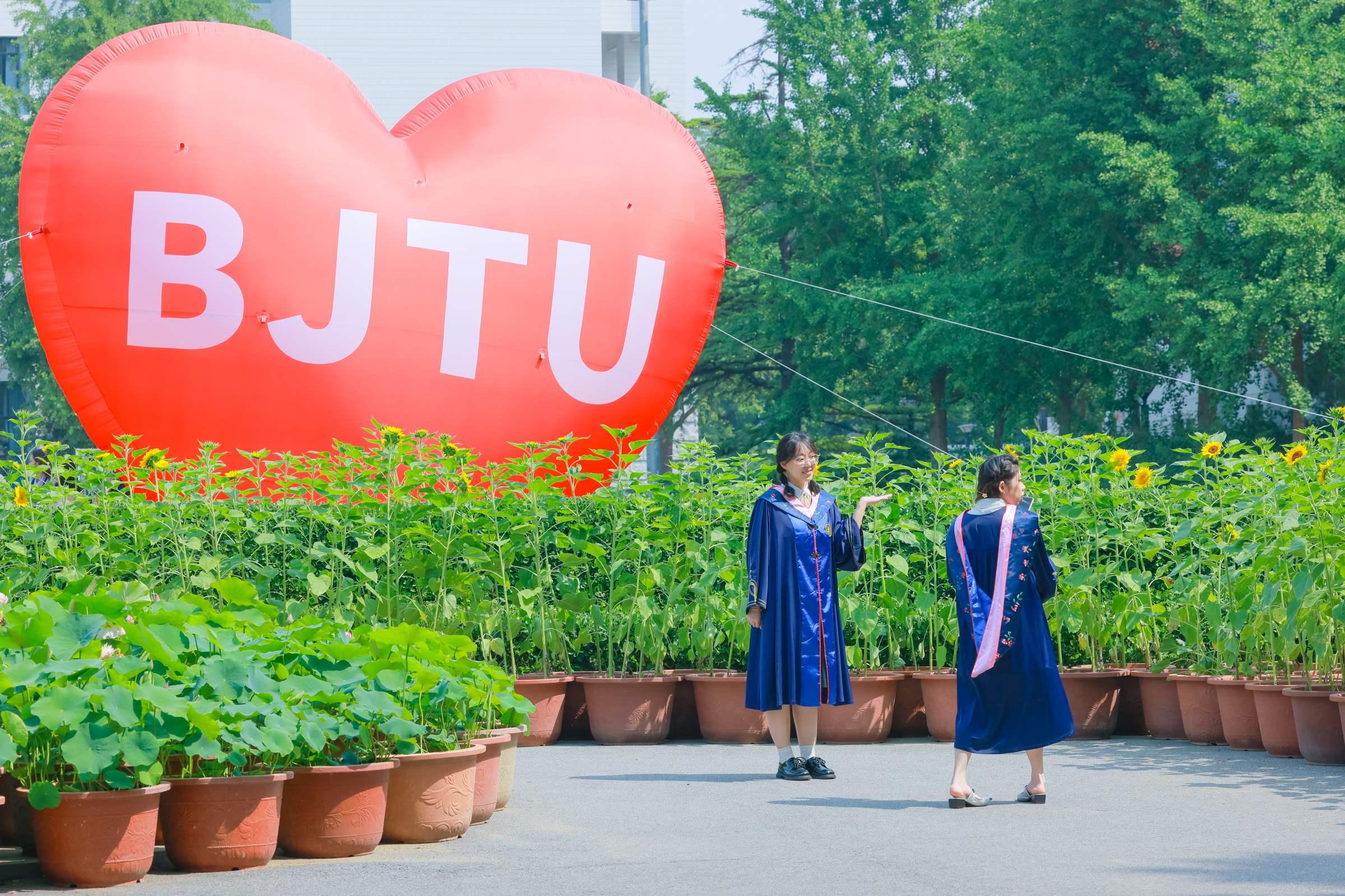 J9.COM(中国集团)官方网站